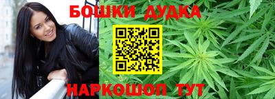 крисы Нальчик