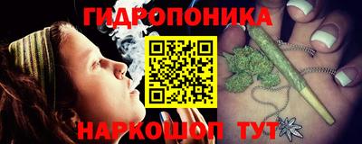 крисы Нальчик
