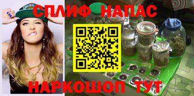 крисы Нальчик